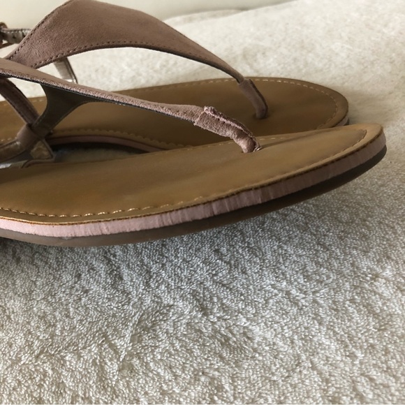 Circus by Sam Edelman Bianca blush pink thong sandals - Picture 6 of 6